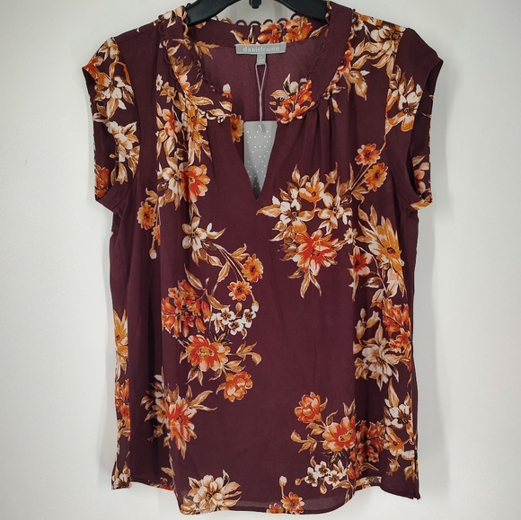 Daniel Rainn Tops - Daniel Rainn Women's Short Sleeve Brown Top Size PS